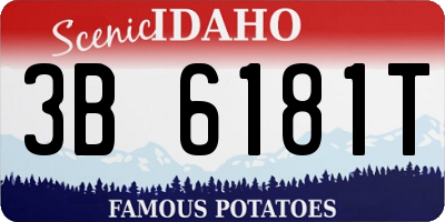 ID license plate 3B6181T