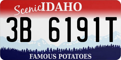 ID license plate 3B6191T
