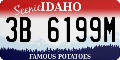 ID license plate 3B6199M