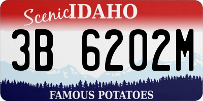 ID license plate 3B6202M