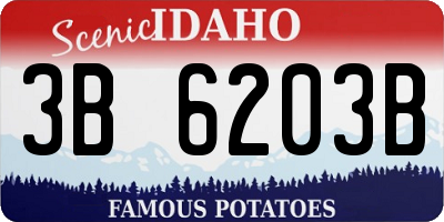 ID license plate 3B6203B