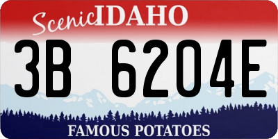 ID license plate 3B6204E