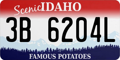 ID license plate 3B6204L