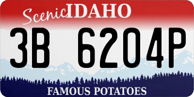 ID license plate 3B6204P