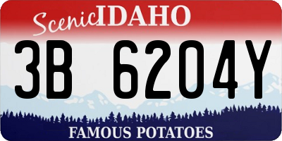 ID license plate 3B6204Y