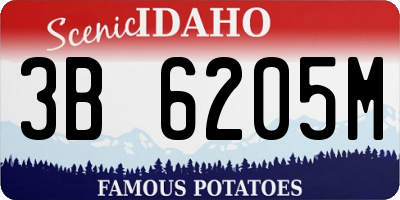 ID license plate 3B6205M