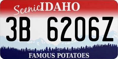 ID license plate 3B6206Z