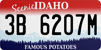 ID license plate 3B6207M