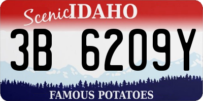 ID license plate 3B6209Y