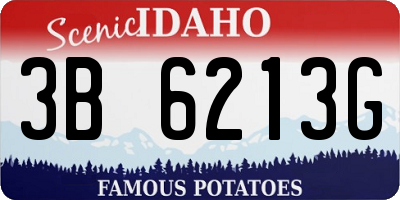 ID license plate 3B6213G