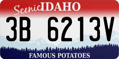 ID license plate 3B6213V