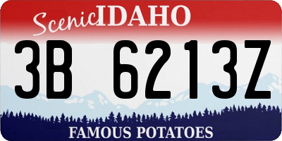 ID license plate 3B6213Z
