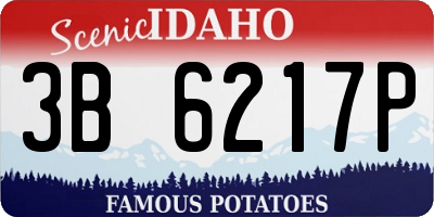 ID license plate 3B6217P