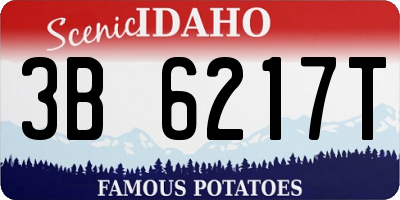 ID license plate 3B6217T