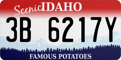ID license plate 3B6217Y