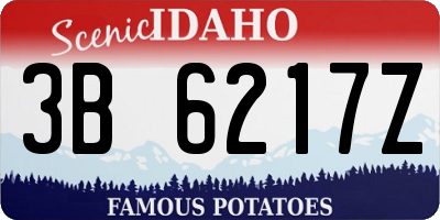 ID license plate 3B6217Z
