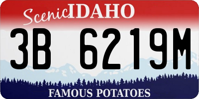 ID license plate 3B6219M