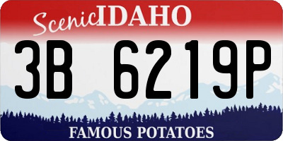 ID license plate 3B6219P