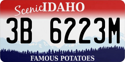 ID license plate 3B6223M