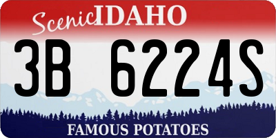 ID license plate 3B6224S