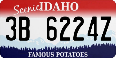 ID license plate 3B6224Z