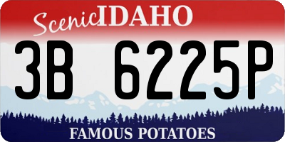 ID license plate 3B6225P