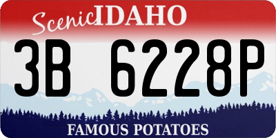 ID license plate 3B6228P