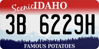 ID license plate 3B6229H