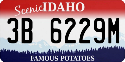ID license plate 3B6229M