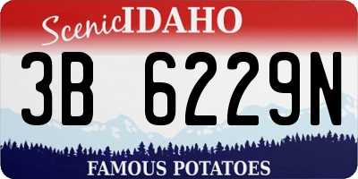 ID license plate 3B6229N