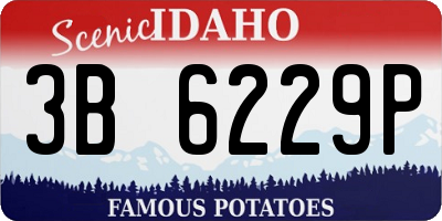 ID license plate 3B6229P