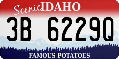 ID license plate 3B6229Q