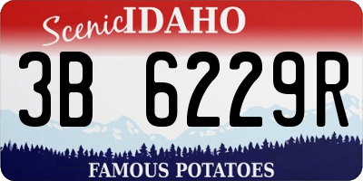 ID license plate 3B6229R