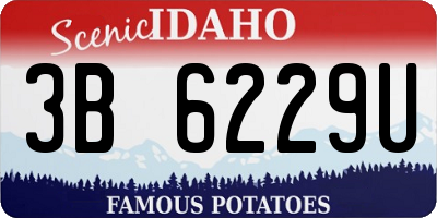 ID license plate 3B6229U