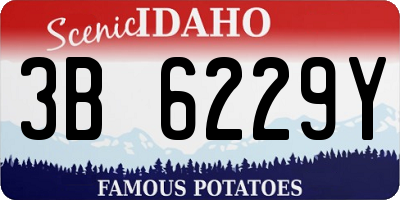 ID license plate 3B6229Y