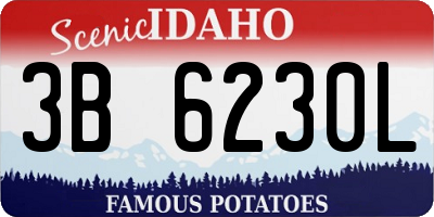 ID license plate 3B6230L