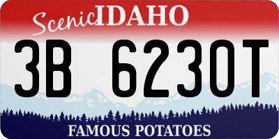 ID license plate 3B6230T