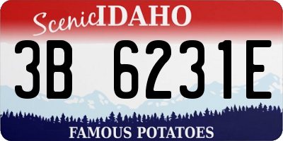 ID license plate 3B6231E