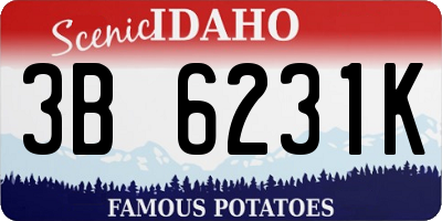 ID license plate 3B6231K