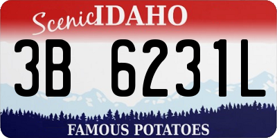 ID license plate 3B6231L