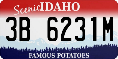 ID license plate 3B6231M
