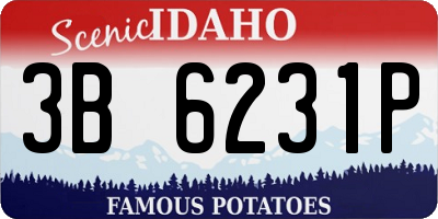 ID license plate 3B6231P