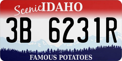 ID license plate 3B6231R