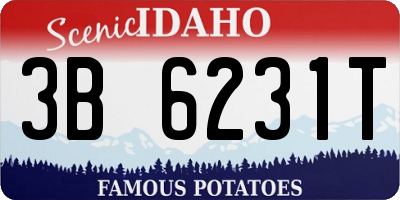 ID license plate 3B6231T