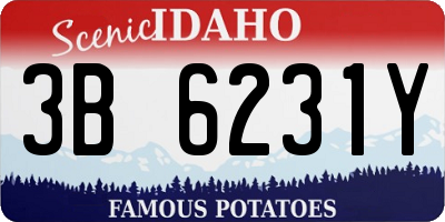 ID license plate 3B6231Y
