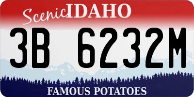 ID license plate 3B6232M