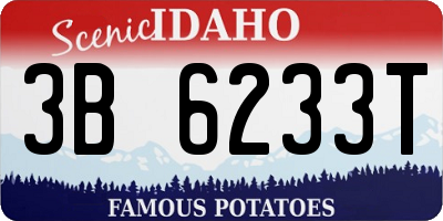 ID license plate 3B6233T
