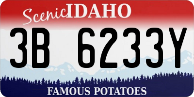 ID license plate 3B6233Y