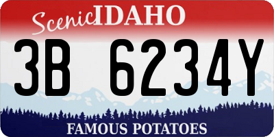 ID license plate 3B6234Y