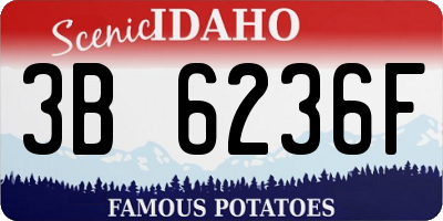 ID license plate 3B6236F